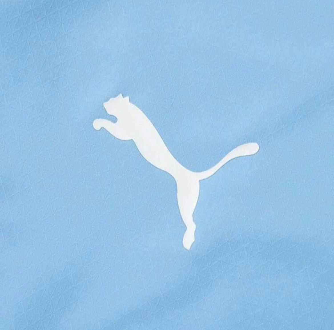 Season Manchester City 24/25 Home Jersey